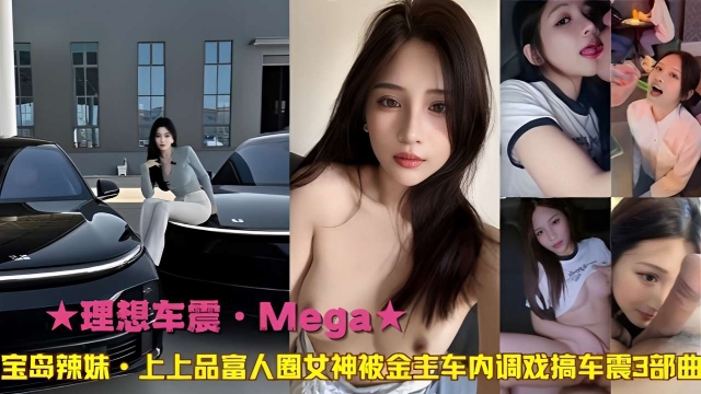 理想车震&middot;Mega宝岛辣妹&middot;上上品富人圈女神被金专车内调戏搞车震3部曲